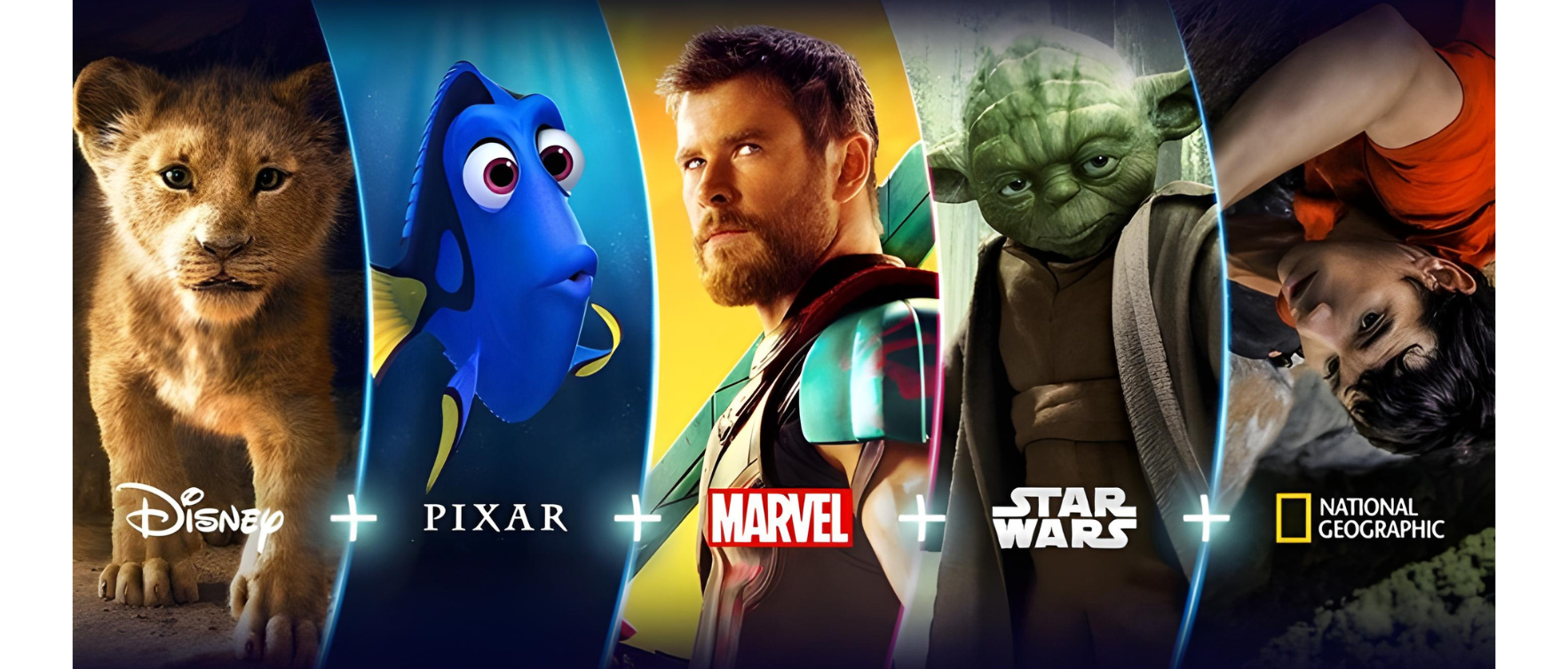 Imagem destque BBB 2025